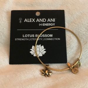 Alex & Ani Bracelet